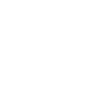 Palm & Pier 